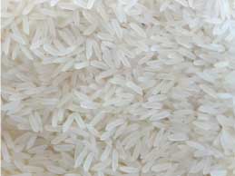 Manufacturers Exporters and Wholesale Suppliers of Sela Rice Nagpur Maharashtra